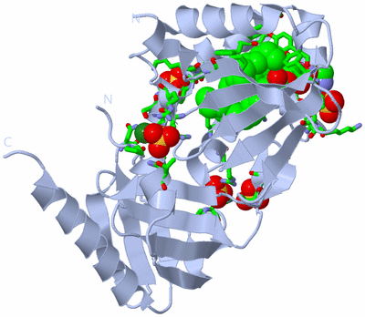 Image Biol. Unit 1 - sites