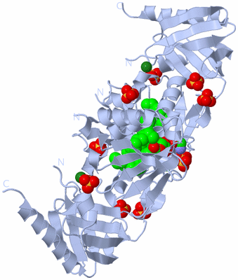 Image Biological Unit 2