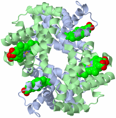 Image Biological Unit 1