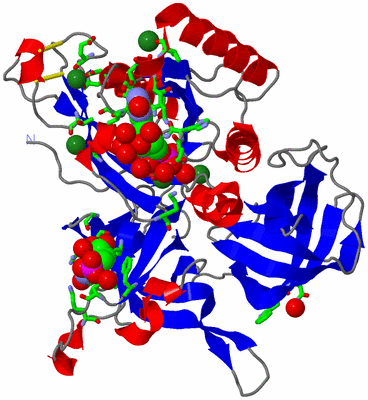 Image Asym./Biol. Unit - sites