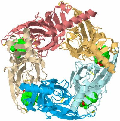 Image Biological Unit 2