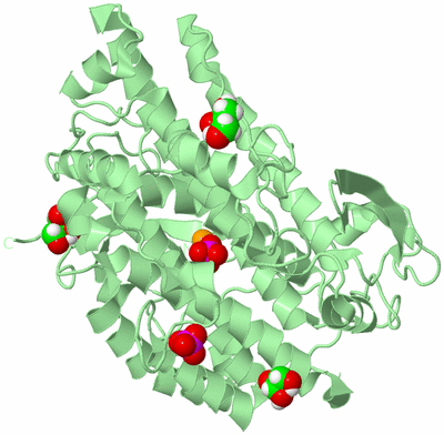 Image Biological Unit 2