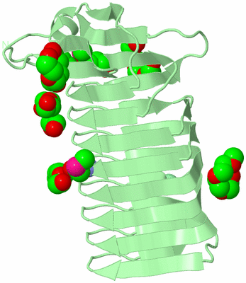 Image Biological Unit 3