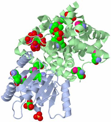 Image Biological Unit 1