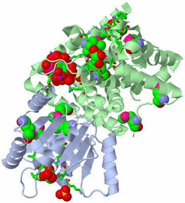 Image Biol. Unit 1 - sites