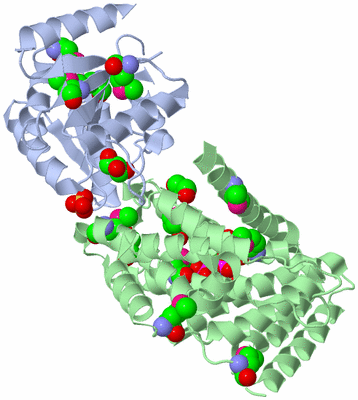 Image Biological Unit 2