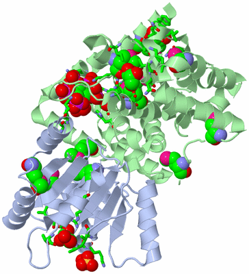 Image Biol. Unit 1 - sites