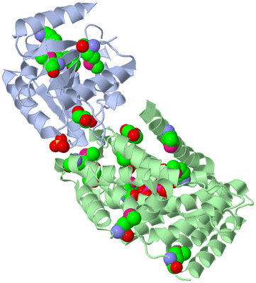 Image Biological Unit 2