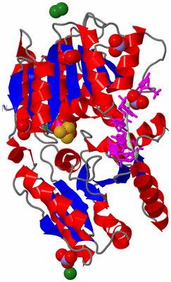 Image Asym./Biol. Unit