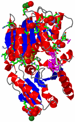 Image Asym./Biol. Unit - sites