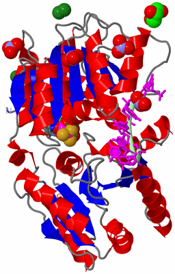 Image Asym./Biol. Unit