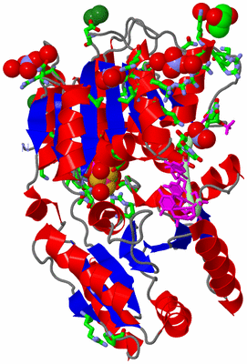 Image Asym./Biol. Unit - sites