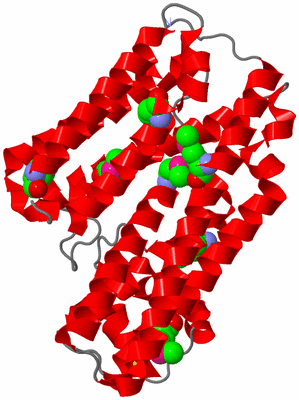 Image Asym./Biol. Unit