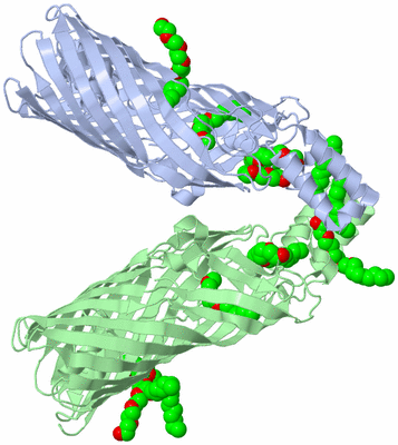 Image Asymmetric Unit