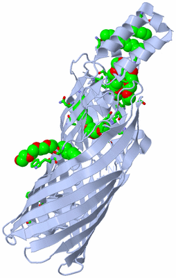 Image Biol. Unit 1 - sites