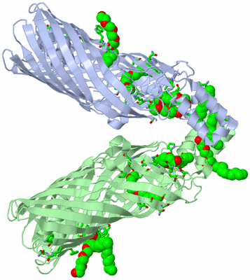 Image Asym. Unit - sites