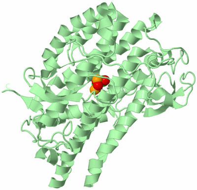 Image Biological Unit 2
