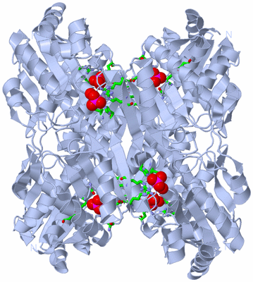 Image Biol. Unit 1 - sites