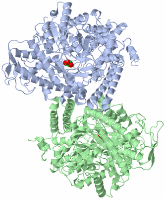 Image Asym./Biol. Unit