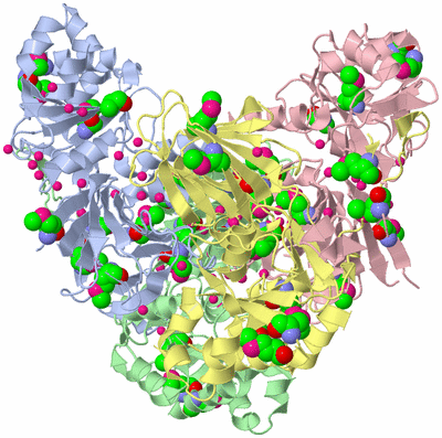 Image Asym./Biol. Unit