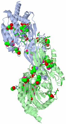 Image Asym./Biol. Unit - sites