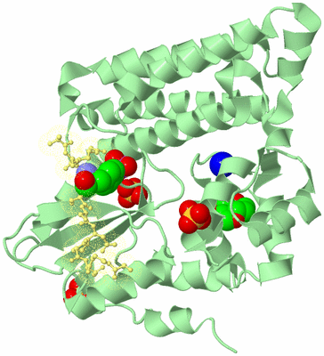 Image Biological Unit 2