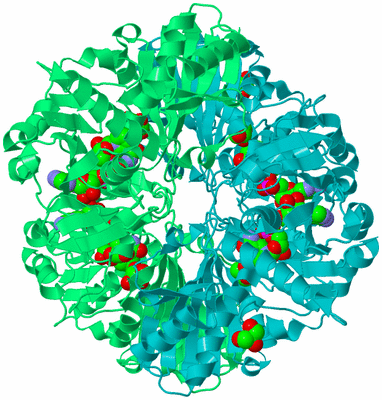 Image Biological Unit 1