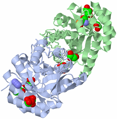 Image Asym./Biol. Unit