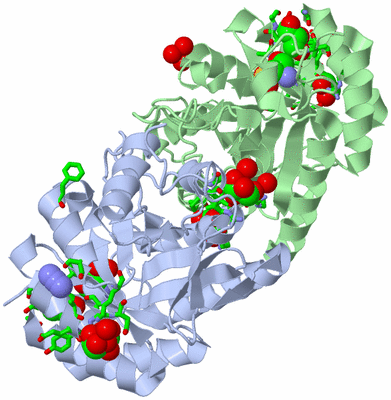 Image Asym./Biol. Unit - sites