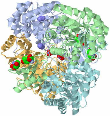 Image Biological Unit 1