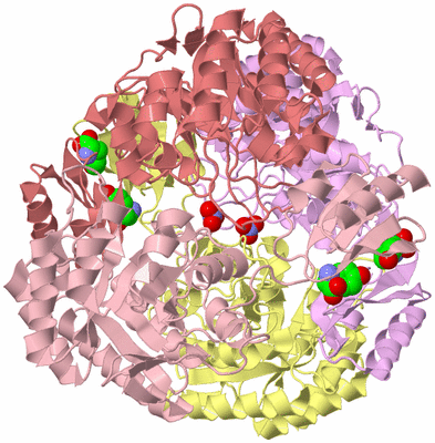 Image Biological Unit 2