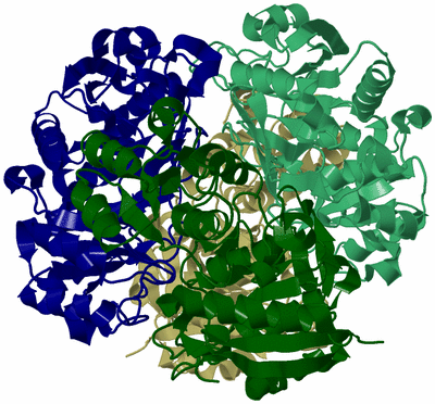 Image Asym./Biol. Unit