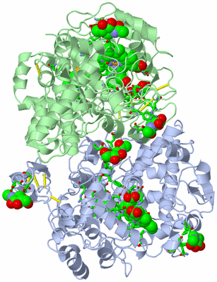 Image Biol. Unit 1 - sites