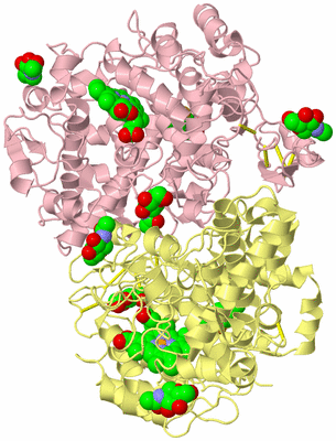 Image Biological Unit 2