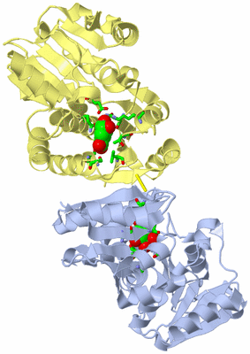 Image Biol. Unit 1 - sites