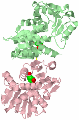 Image Biological Unit 2