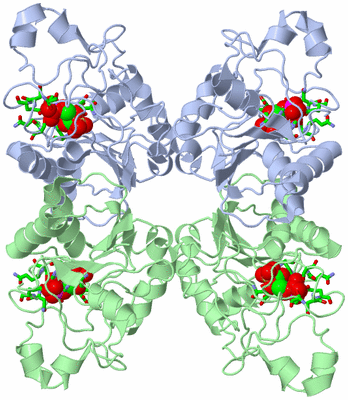 Image Biol. Unit 1 - sites