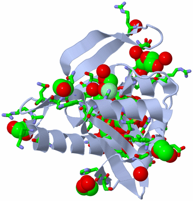 Image Biol. Unit 1 - sites