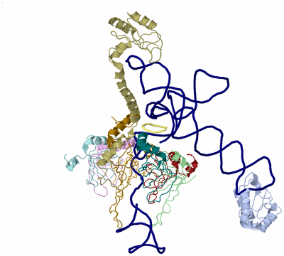 Image Biological Unit 1