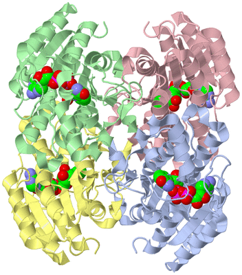 Image Asym./Biol. Unit