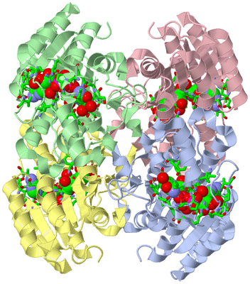 Image Asym./Biol. Unit - sites