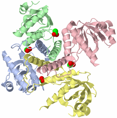 Image Asym./Biol. Unit