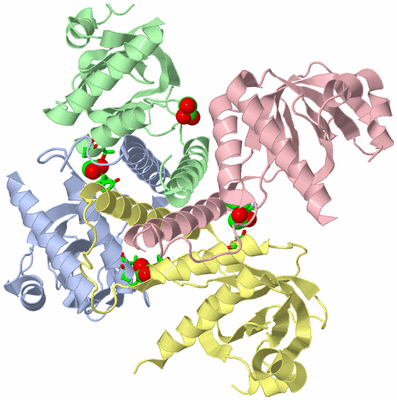 Image Asym./Biol. Unit - sites