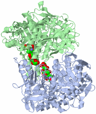 Image Biological Unit 1