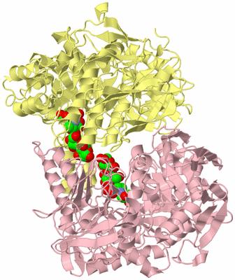 Image Biological Unit 2