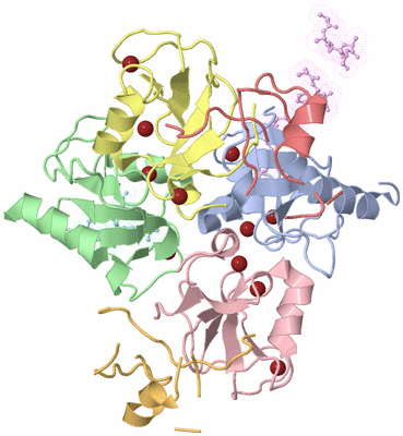 Image Asym./Biol. Unit