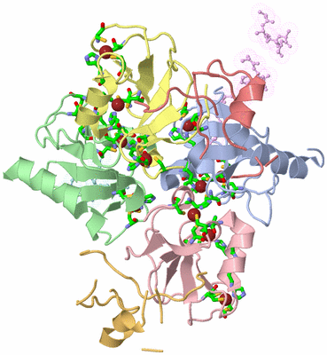 Image Asym./Biol. Unit - sites