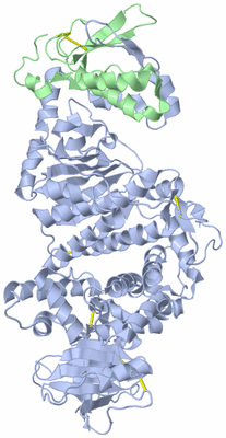 Image Biological Unit 1