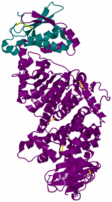 Image Biological Unit 12