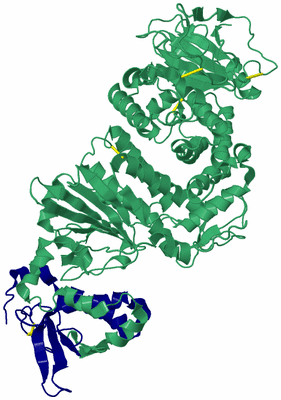 Image Biological Unit 14